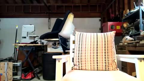 Jaws  online show from October 14, 3:59 pm