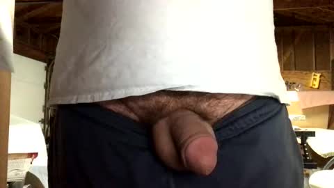 Jaws  online show from May 17, 5:22 pm