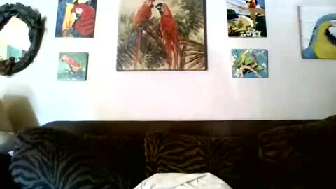 jay-jay1475 online show from November 1, 7:13 pm