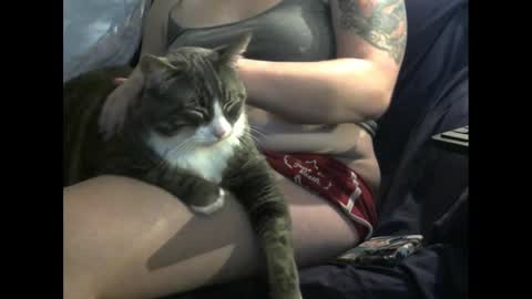 JayaBooty online show from January 19, 12:59 am