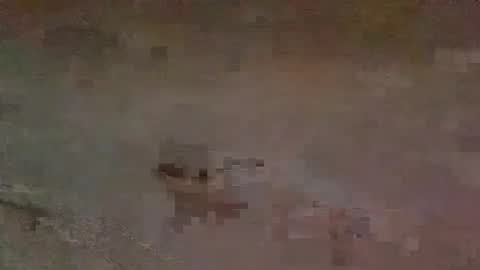 Snapshot of jaybird8 chatting on February 15, 6:55 pm jaybird8 online show from February 15, 6:55 pm