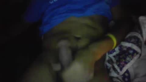 jaywulf22 online show from February 11, 7:34 am