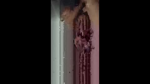 jayyy159 online show from March 25, 6:42 am