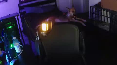 jdcornett85 online show from February 28, 6:50 am