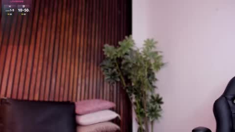     online show from November 29, 2:03 pm