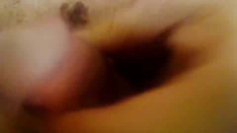 JoeEBear online show from January 24, 2:51 pm