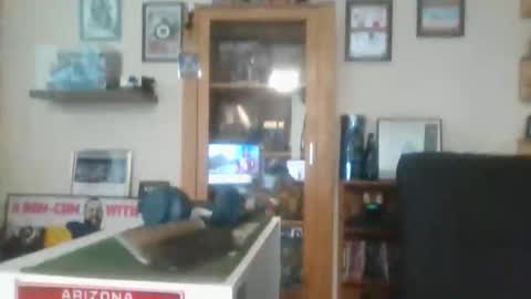 Harry online show from November 26, 8:44 am