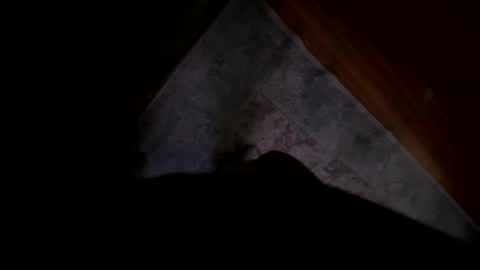 Snapshot of jerswill chatting on December 2, 6:35 am Jeremys room chill and puff one enjoy online show from December 2, 6:35 am