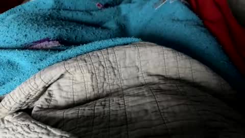 Snapshot of jerswill chatting on December 25, 2:34 pm Jeremys room chill and puff one enjoy online show from December 25, 2:34 pm