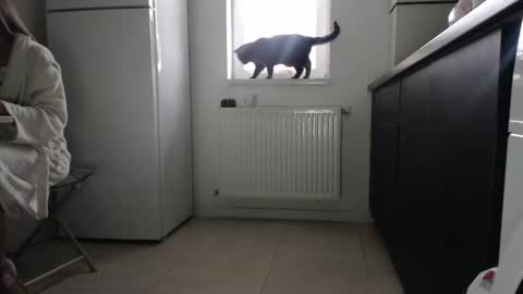 jessieryan online show from November 28, 7:16 am