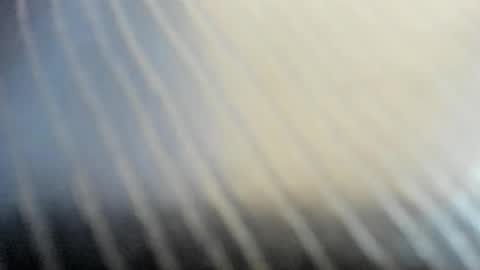 jhoanleandro online show from October 27, 7:08 am