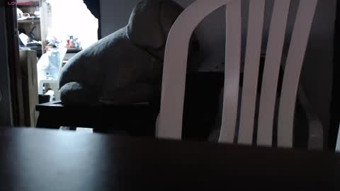 jhonatan_morales_s online show from February 3, 6:40 am