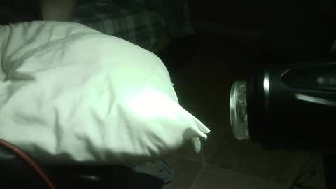 jimmbo99155 online show from January 26, 11:29 pm