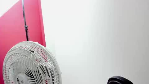 jisooluv online show from September 13, 8:00 pm