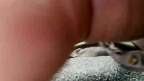 jocelynnuttz online show from December 22, 3:19 pm