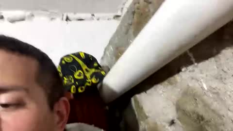 Johnny online show from January 21, 6:23 pm