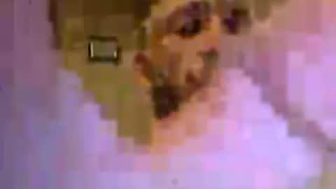 bigboy online show from June 27, 2:39 am
