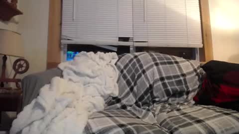 Johston online show from November 7, 2:03 am