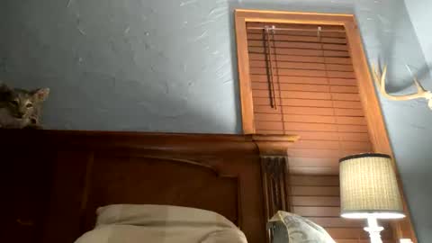 jonbigwhat online show from December 26, 1:40 am