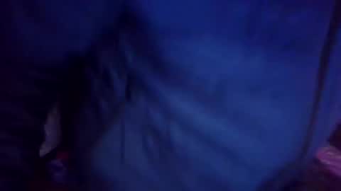 joybook8 online show from February 1, 10:37 am