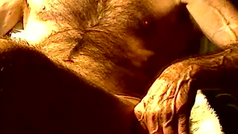 joystik4u60 online show from November 14, 2:47 am