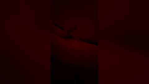 js679 online show from June 5, 5:46 am