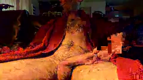 Snapshot of jujusbzh chatting on February 23, 8:06 am jujusbzh online show from February 23, 8:06 am