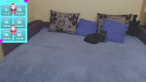 Jul online show from November 30, 4:14 pm