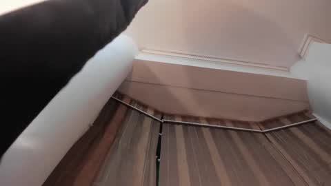 Jupiter Fox online show from October 15, 12:36 am