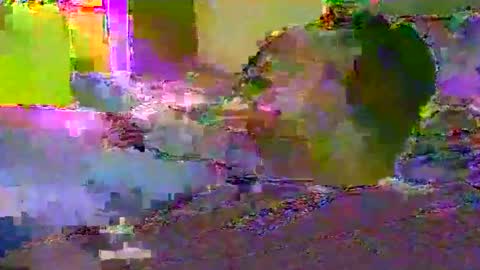 Techno Nymph online show from March 3, 2:40 am