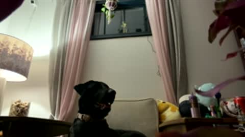kansashunk5 online show from May 10, 5:36 am