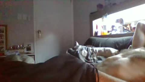 Luna Lenarne online show from May 23, 12:34 pm
