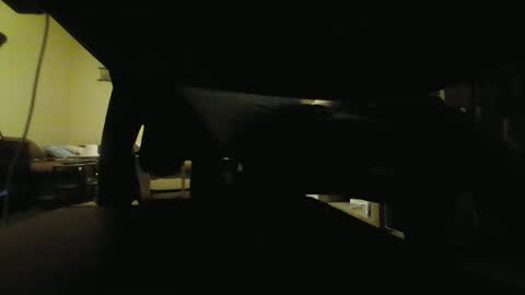 Snapshot of kaskaderns chatting on January 29, 9:50 pm Stojko online show from January 29, 9:50 pm