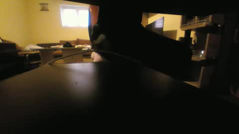 Snapshot of kaskaderns chatting on October 5, 12:46 pm Stojko online show from October 5, 12:46 pm