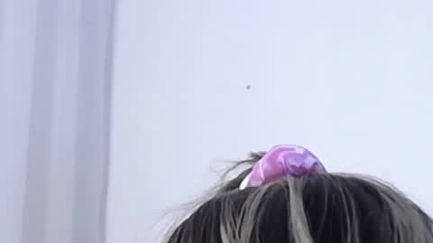 Help me with rate thanks  online show from January 3, 3:16 am