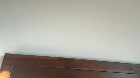 kcdad0001 online show from October 19, 1:49 pm