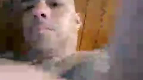 keepitmoistl3vr online show from July 3, 7:35 am