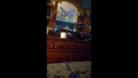 kevinhardass online show from February 2, 5:09 pm