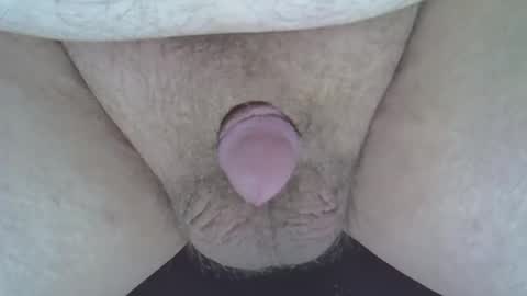 maggot online show from January 1, 7:52 am