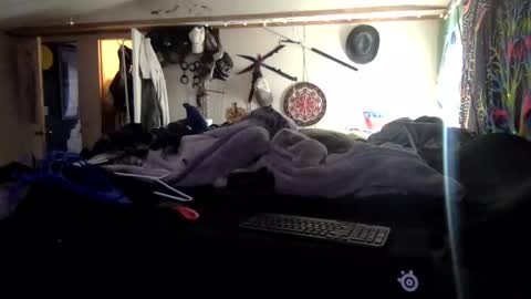 Jerry online show from November 2, 10:54 pm