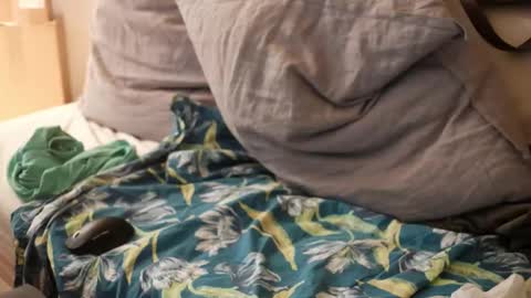 kingindisguise69 online show from December 4, 5:34 pm