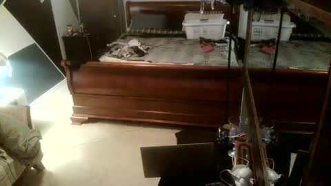 KittenKatch online show from February 8, 5:11 am