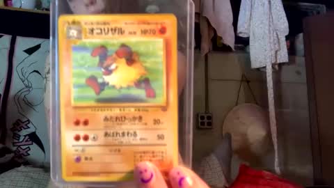 kitty online show from January 1, 1:47 am