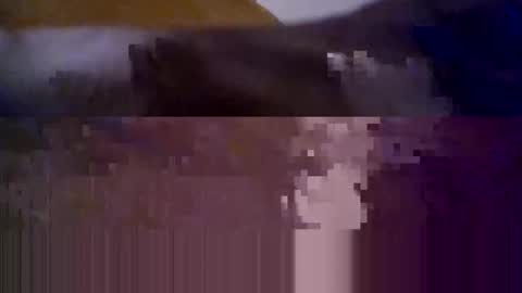 Knight Rider online show from October 14, 4:04 am