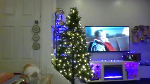 ko_rides online show from November 23, 3:04 am