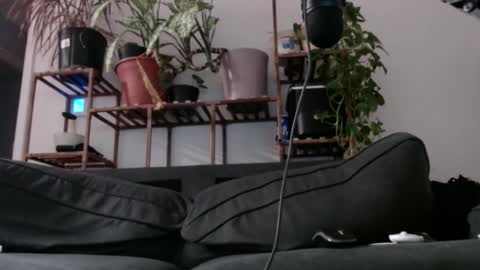 Snapshot of laidback_and_chill chatting on December 11, 8:26 am Rick online show from December 11, 8:26 am