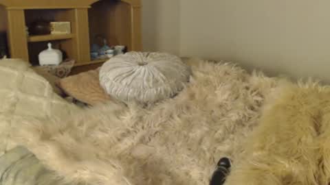 Naomi Rose online show from December 4, 12:46 am