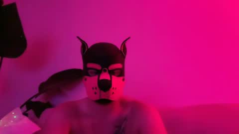 landosmith003 online show from June 18, 9:14 am