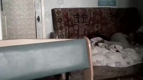 larisaq4ugo24 online show from April 4, 2:46 pm