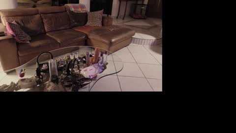 LasivoBruno69 online show from November 16, 2:02 am